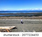 A little girl standing on a beach staring at the ocean, on a beautiful sunny day along the oceanside route highway near Campbell River, Vancouver Island, Canada.