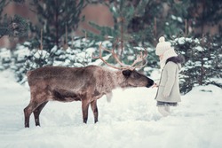 Kids and animals | Stock Photo and Image Collection by Yurina_Photo ...