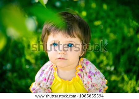 Similar – Image, Stock Photo looking at you looking at me