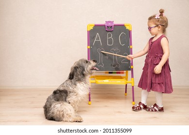 A Little Girl Teacher In A Dress And Glasses Teaches A Dog And Shows Her English Letters And How To Count Bones On The Blackboard. She Explains Very Carefully To Her Shaggy Pet. 