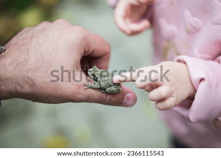 little girl touching toad on adult's hand