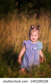 A Little Girl With Two Little Pigtails In A Blue Striped Dress Walks In Very Tall Grass In A Field At Sunset. World Children's Day. Preschool Girl In Nature. 