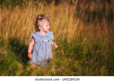 A Little Girl With Two Little Pigtails In A Blue Striped Dress Walks In Very Tall Grass In A Field At Sunset. World Children's Day. Preschool Girl In Nature. 