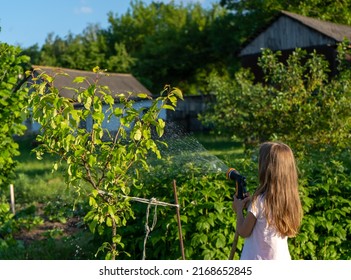 A Little Girl Uses A Water Spray Hose To Water The Trees In The Garden