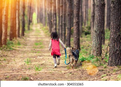 Little Girl Walking With Big Dog  In The Pine Forest