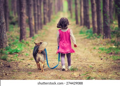 Little girl walking with dog in the forest back to camera