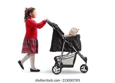 Little Girl Walking Pushing A Dog Stroller Isolated On White Background