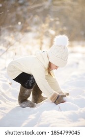 A Little Girl In A Warm White Sweater And A White Hat Plays With The Snow During A Walk In The Winter Forest. Bright Emotion.