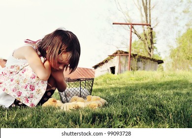 Little girl watching Buff Orpington chicks  with chicken coop and barn in far background. Extreme shallow depth of field with some blur on lower portion of image.
