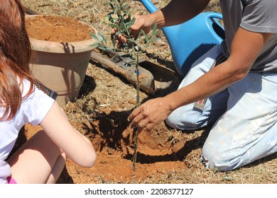Little girl watching a man to cultivate an olive tree in the soil