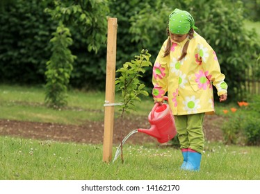 Little Girl Watering Apple Tree With Watering Pot