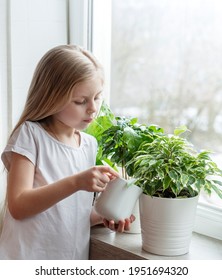 Little Girl Watering Houseplants In Her House