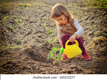 Little girl watering plants in a garden - Powered by Shutterstock