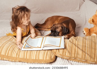  Little Girl With Wavy Hair At Home On The Couch With Her Big Red Dog German Boxer, The Girl Reads A Book To The Dog And Shows Pictures