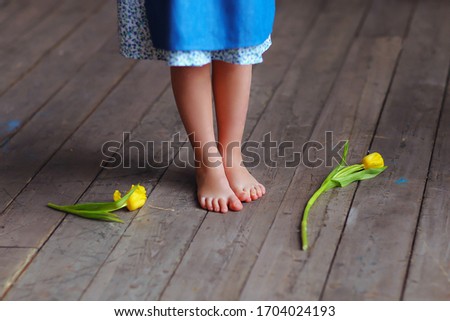 Little girl in white-and-blue dress is standing on the wooden floor with yellow tulips, legs close-up. Spring mood. Tender age. The eve of the International Women's Day.   