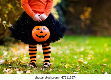 Little girl in witch costume playing in autumn park. Child having fun at Halloween trick or treat. Kids trick or treating. Toddler kid with jack-o-lantern. Children with candy bucket in fall forest.