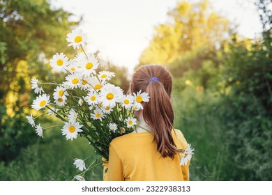 Little girl in yellow t-shirt carries huge bouquet of white flowers on her shoulder outdoors on meadow. Brunette kid standing back and holding chamomiles or daisies. Child walks in garden or park. - Powered by Shutterstock