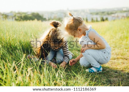 Little girls are looking at insects in the green grass on the field.