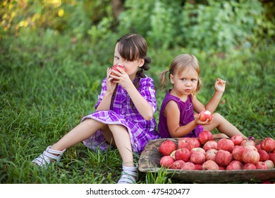 Little Girls Sitting Trough Apples Stock Photo 475420477 | Shutterstock