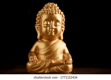 buddha real name