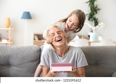 Little Granddaughter Closing Eyes Of Excited Old Grandmother Holding Gift Box, Cute Preschool Child Girl Making Surprise For Happy Aged Grandma, Present For Grannys Birthday From Grandchild Concept