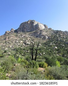 Little Granite Mountain Recovering After A Wild Fire In Prescott Arizona