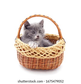 Little gray kitten in the basket isolated on a white background.