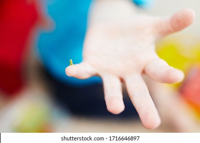 Little Green Caterpillar Crawls On The Child's Finger. Tiny And Very Hungry Caterpillar.