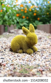 A Little Green Faux Moss Covered Rabbit Statue Is Sittign In Pea Gravel, Decorating A Garden Of Orange Cosmo Flowers.