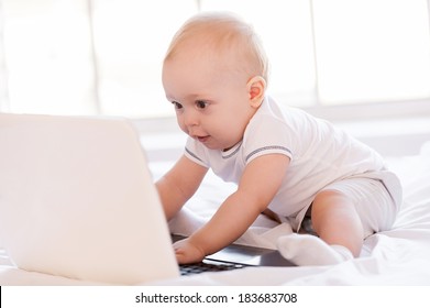 Little IT guy. Cute little baby holding hands on laptop keyboard and looking at monitor while sitting on the bed
