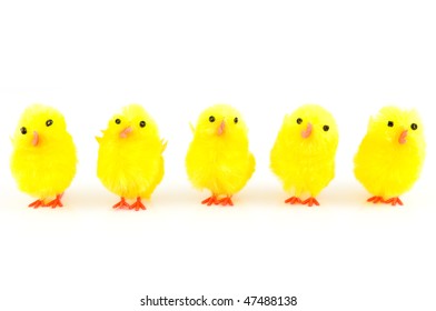 Little Hairy Chicks Isolated On White Stock Photo 47488138 | Shutterstock