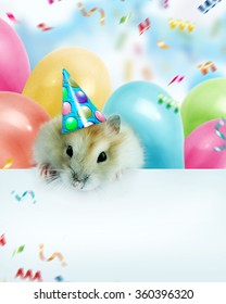 Little Hamster Celebrating Birthday Greeting Card Stock Photo 360396320 ...