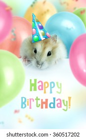 1,216 Hamster Birthday Images, Stock Photos & Vectors 