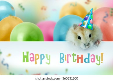 Little Hamster Celebrating Birthday Greeting Card Stock Photo 360531800 ...