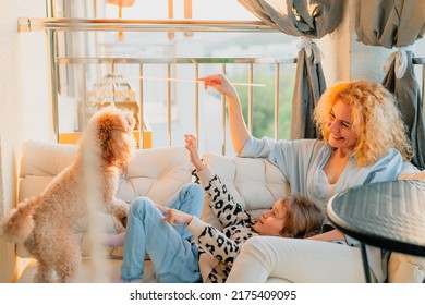 A Little, Happy Girl, A Child With A Smile Plays On A Summer, Spring Vernada At Home With Mom And A Dog At Sunset. Family Weekend Evening. Dog, Pets As A Family Member. Animal Is Like A Member Of The 