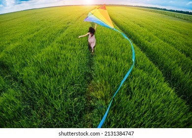 Little happy girl running with kate in hands on green wheat field. Large colored rainbow kite with long blue tail. Top back view.