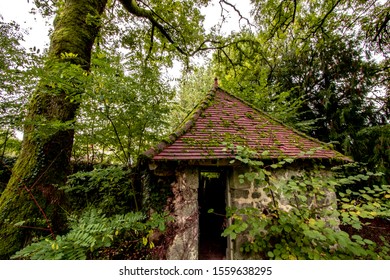 A  Little House Hidden In The Woods. Would A Witch Live There? Maybe This Is The House Of Hansel And Gretel....Go Find The Candy!