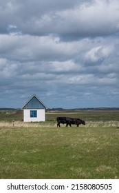 Little House Near Spøttrup Beach In Northern Jutland