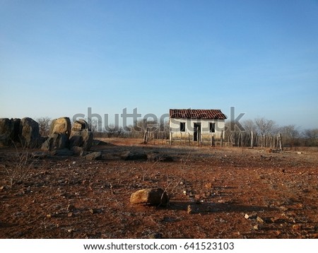Little house in the northeastern backwoods Foto stock © 