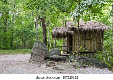 A Little Hut In The Jungle ,