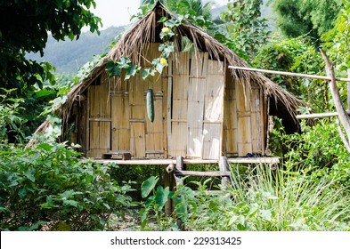 A Little Hut In The Jungle 