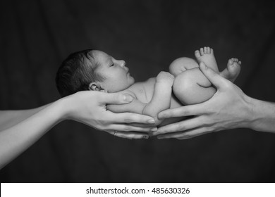 Little Infant Baby Boy Sleeping Laying On Mothers And Fathers Arms. Neutral Black Background, Black And White Picture. All Naked. Happy Family