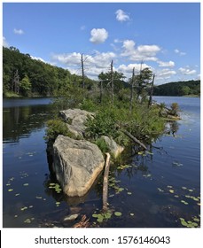 Little Island On Canopus Lake