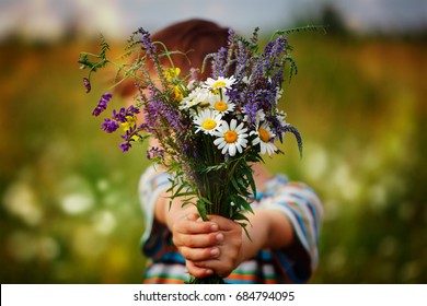 Little Kid Boy Holding Bouquet Of Fields Flowers. Child Giving Flowers.