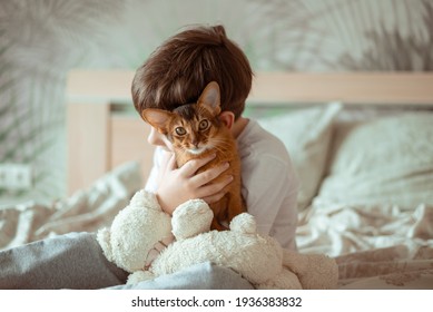 Little Kid Boy Holding And Hugging Red Cat Somali Breed Kitten. People Children Kids With Pets Concept. Lifestyle Authentic Image