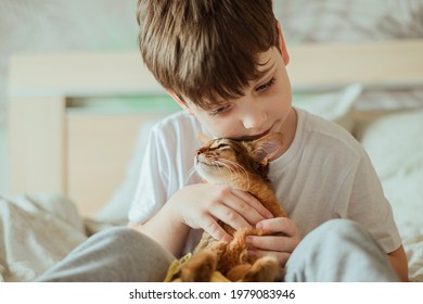 Little Kid Boy Holding And Hugging Red Cat Somali Breed Kitten. People Children Kids With Pets Concept.