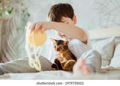 Little Kid Boy Holding And Hugging Red Cat Somali Breed Kitten. People Children Kids With Pets Concept.