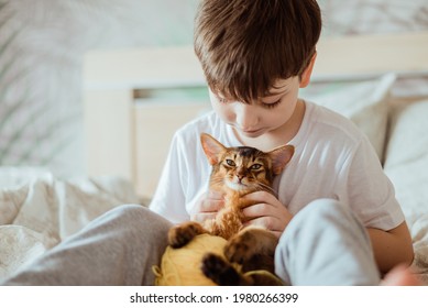 Little Kid Boy Holding And Hugging Red Cat Somali Breed Kitten. People Children Kids With Pets Concept.