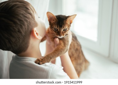 Little Kid Boy Hugs His Cat Of Red Somali Breed. Kids And Animals Friendship. Children With Cats And Kittens. Love Pets Concept