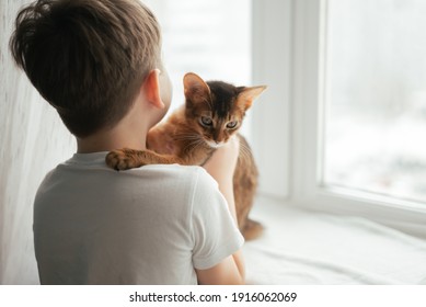 Little Kid Boy Hugs His Cat Of Red Somali Breed. Kids And Animals Friendship. Children With Cats And Kittens. Love Pets Concept